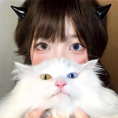 救起池中的猎豹封面